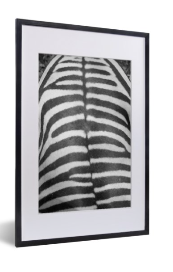 Ingelijste foto Zebra 40 x 30 cm