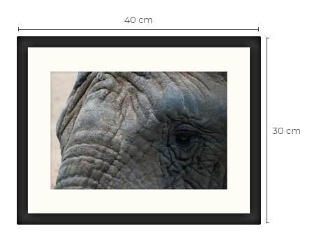 Ingelijste foto Oog Olifant 40 x 30 cm