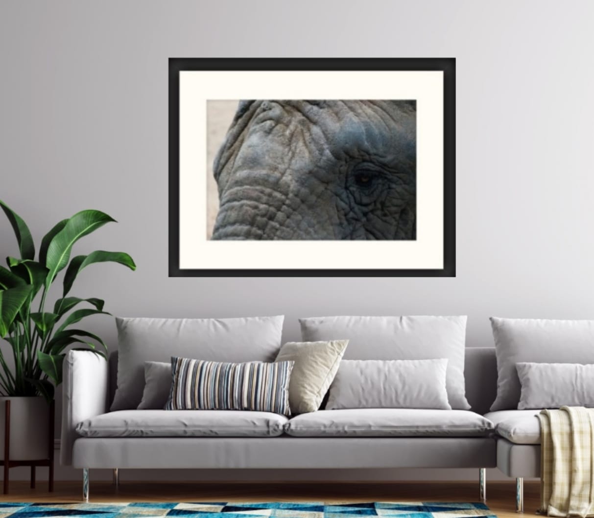 Ingelijste foto Oog Olifant 40 x 30 cm