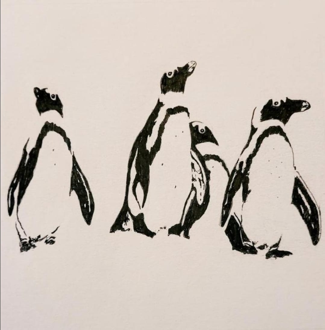 Pentekening pinguïns ingelijst