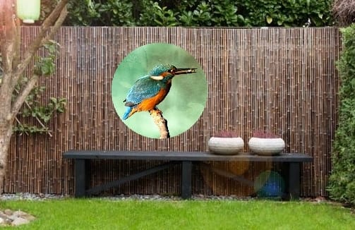 Tuin Wandcirkel Ijsvogel groen Ø 60 cm