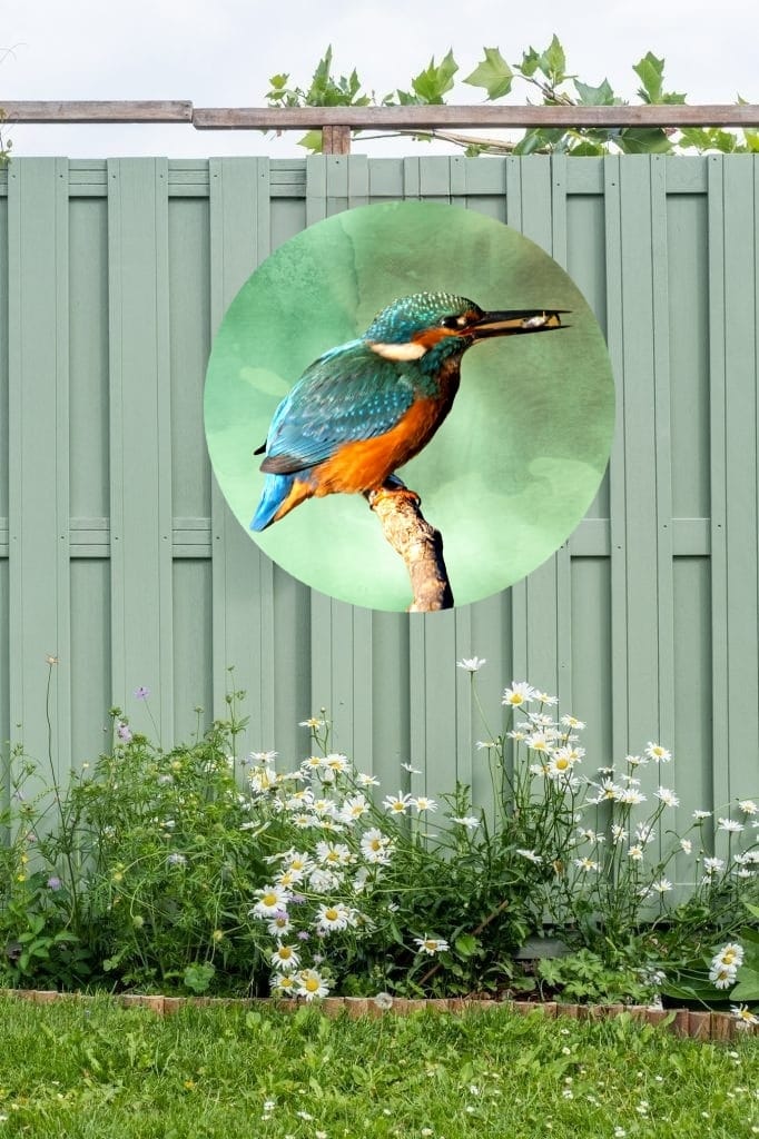 Tuin Wandcirkel Ijsvogel groen Ø 60 cm