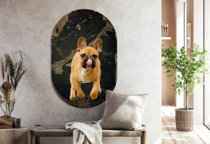 Muur ovaal Bulldog 50 x 75