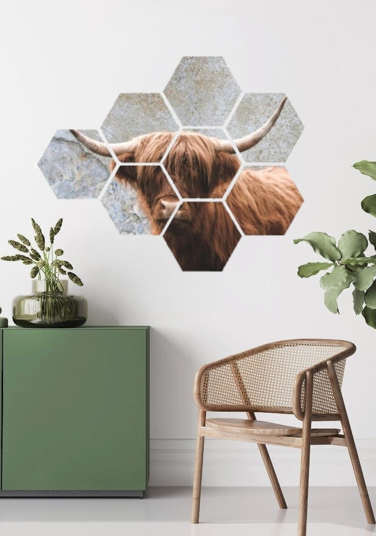 Hexagon Schotse Hooglander 91 bij 60 cm