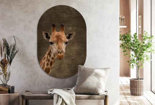 Muur ovaal Giraffe 50 x 75